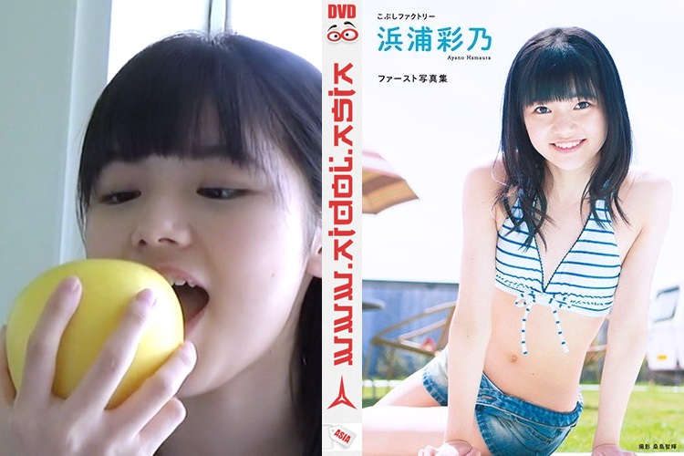登录后显示标题