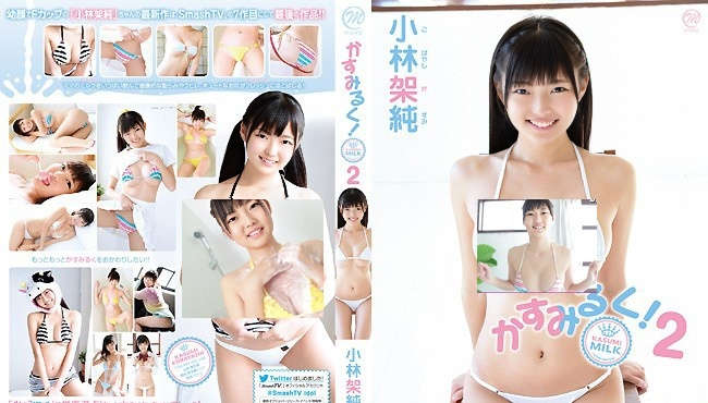 登录后显示标题
