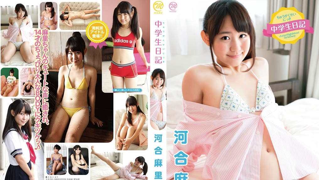 登录后显示标题