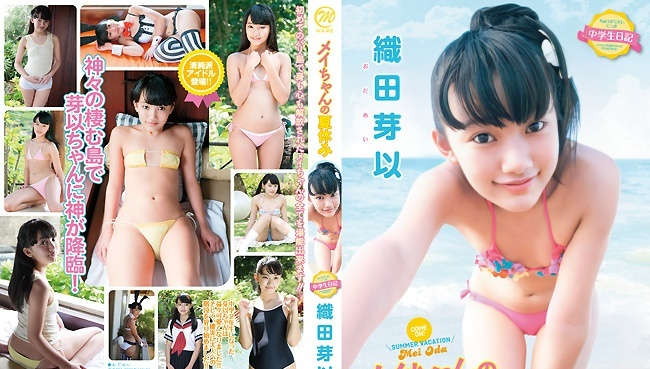 登录后显示标题