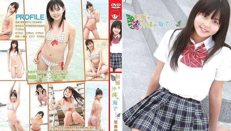 登录后显示标题